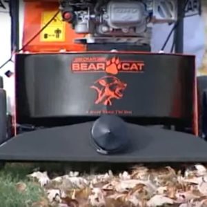 Bearcat